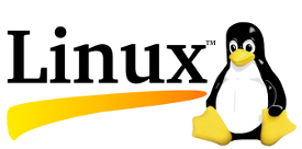 Installation et maintenance de serveurs Windows | Linux 